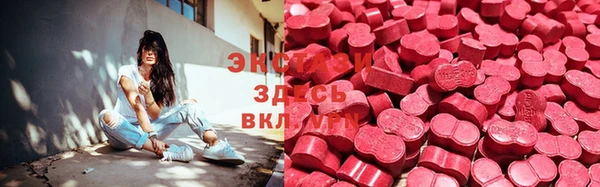 СК Новозыбков