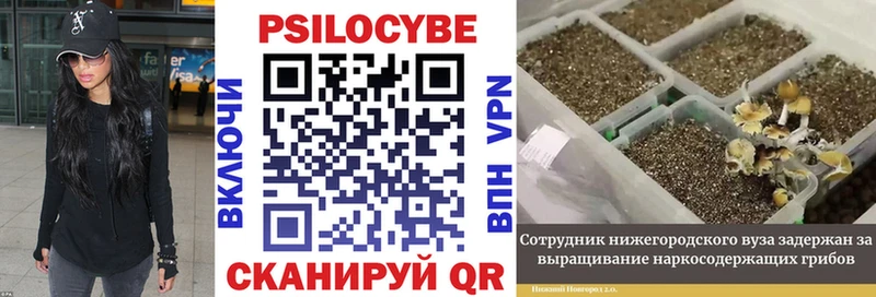 наркошоп  ссылка на мегу ссылки  Галлюциногенные грибы Psilocybine cubensis  Пойковский 